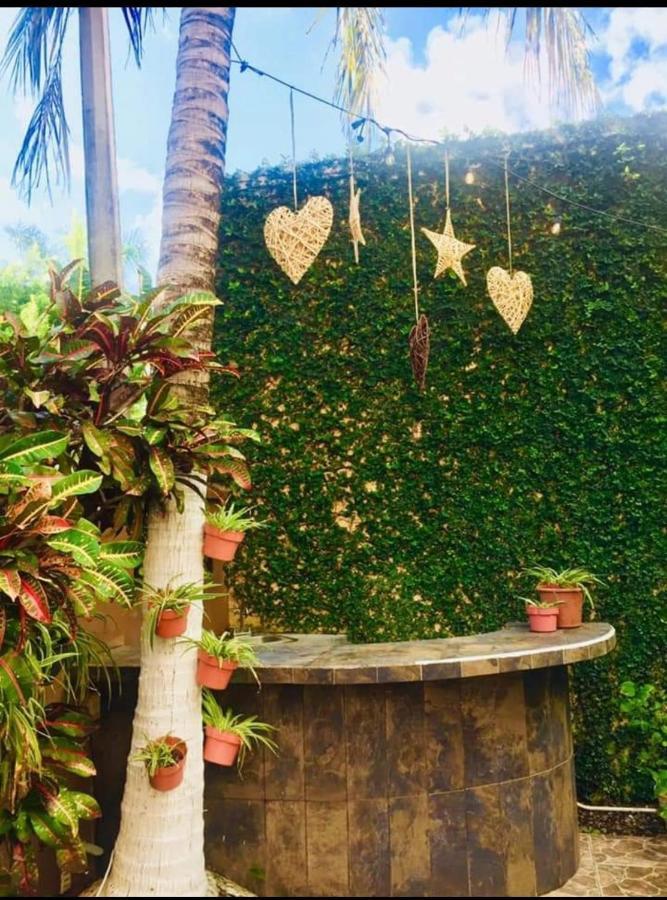 Séjour chez l'habitant Casa Cristal Cancún